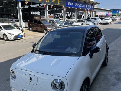 2021年5月 欧拉 欧拉黑猫 2021款 351km 标准型图片