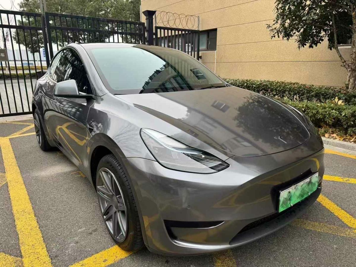 特斯拉 Model 3  2022款 Performance高性能全輪驅(qū)動版圖片