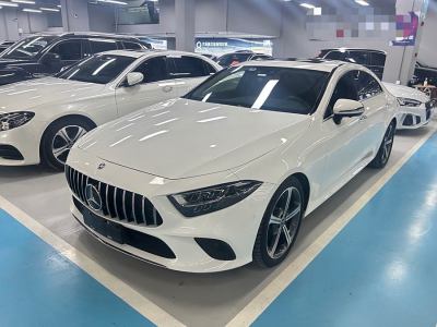 2019年4月 奔馳 奔馳CLS級(jí)(進(jìn)口) CLS 300 動(dòng)感型圖片