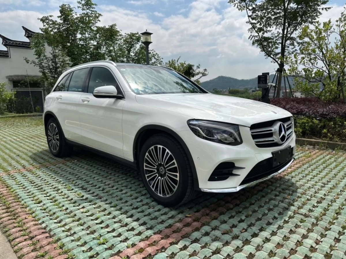 奔驰 奔驰GLC  2019款 GLC 260 L 4MATIC 动感型图片