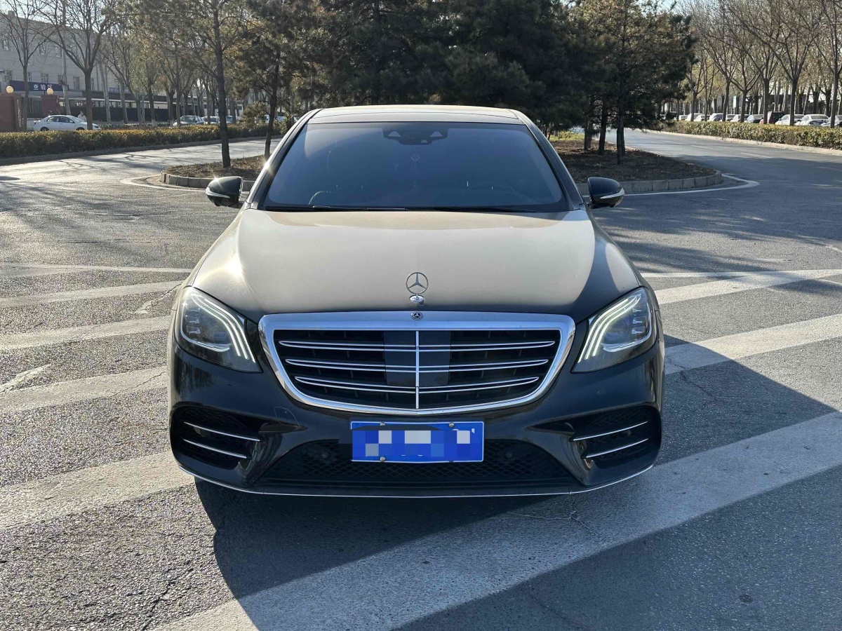 奔馳 奔馳S級(jí)  2018款 S 450 L 4MATIC 卓越特別版圖片