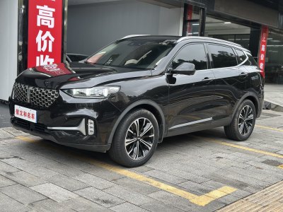 2020年5月 WEY VV6 2.0T 兩驅(qū)智護(hù)+圖片