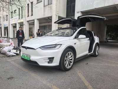 2019年4月 特斯拉 Model X Model X 100D 長續(xù)航版圖片