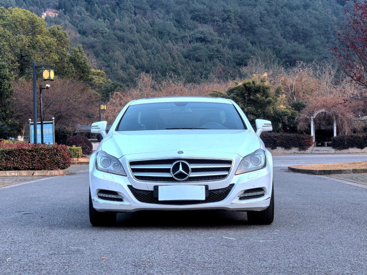 奔馳CLS級 2012款 CLS 300 CGI圖片