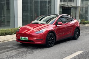 Model Y 特斯拉 长续航全轮驱动版 3D7