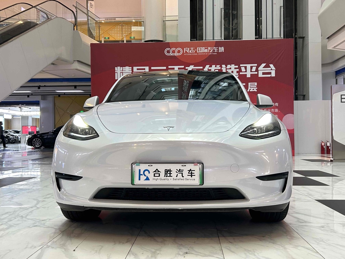 特斯拉 Model Y  2020款 改款 長續(xù)航后輪驅(qū)動版圖片