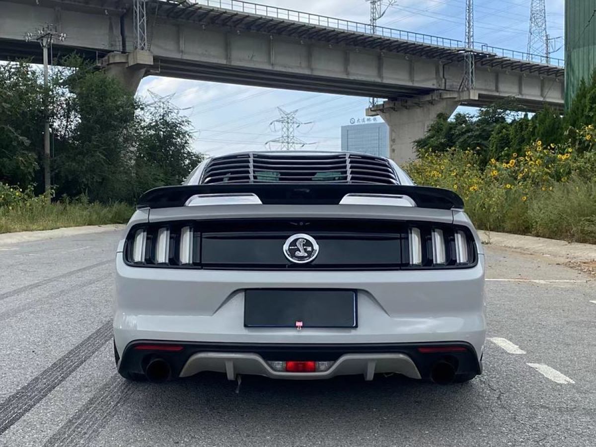 福特 Mustang  2015款 2.3T 性能版圖片