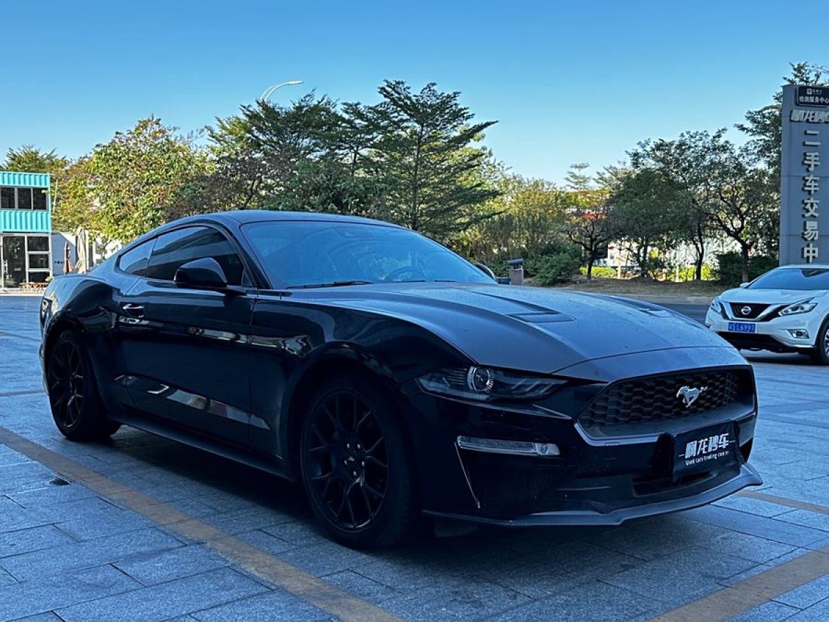 福特 Mustang  2020款 2.3L EcoBoost圖片