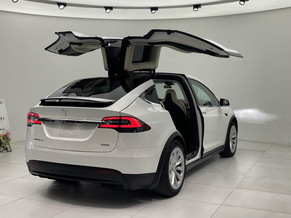 特斯拉 Model X  2017款 Model X 100D 長續(xù)航版圖片