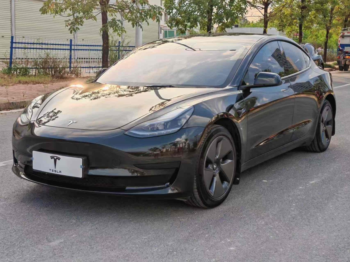 特斯拉 Model 3  2019款 標(biāo)準(zhǔn)續(xù)航后驅(qū)升級版圖片