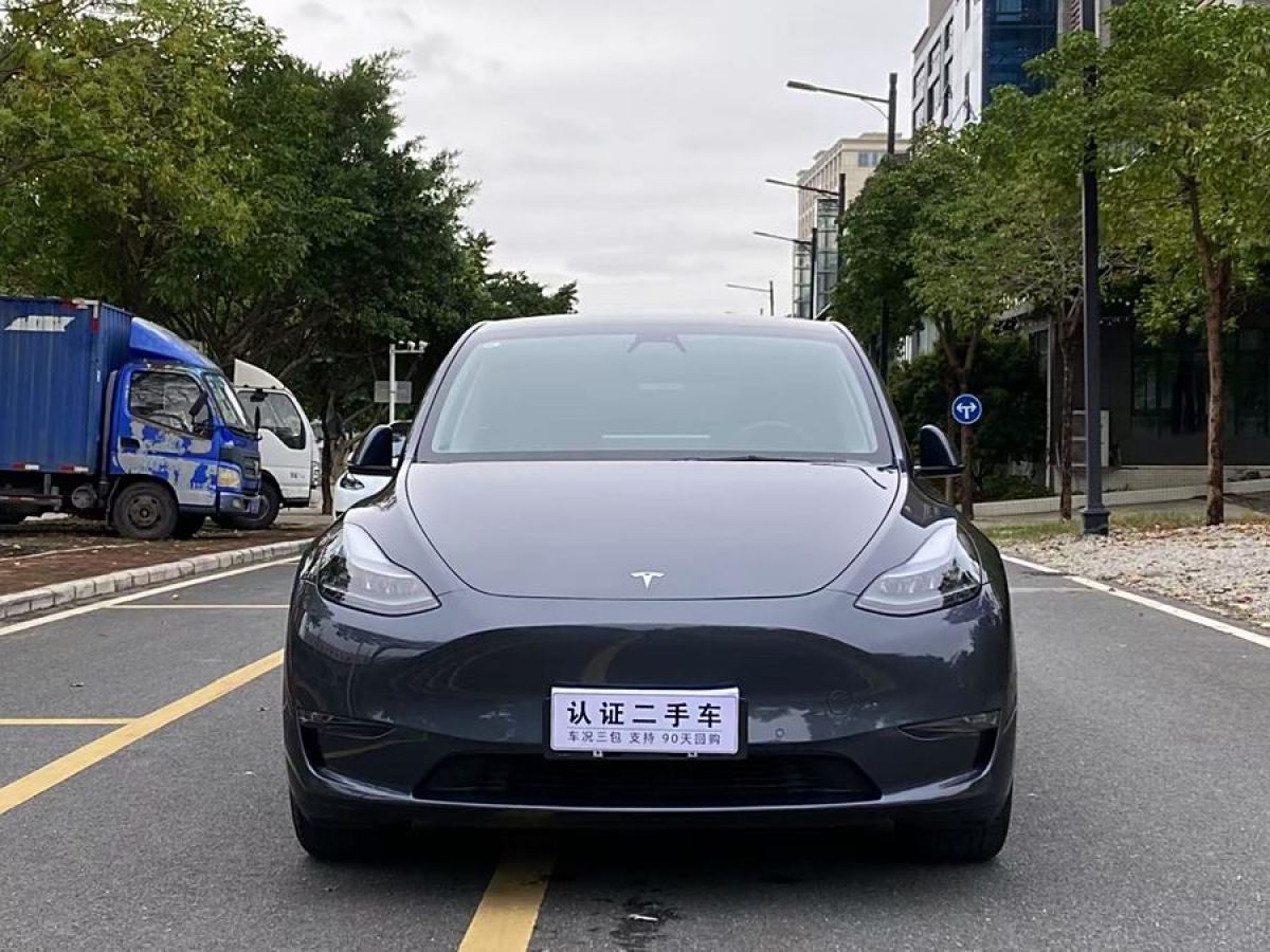 2021年4月特斯拉 Model Y  2021款 改款 長續(xù)航全輪驅(qū)動版