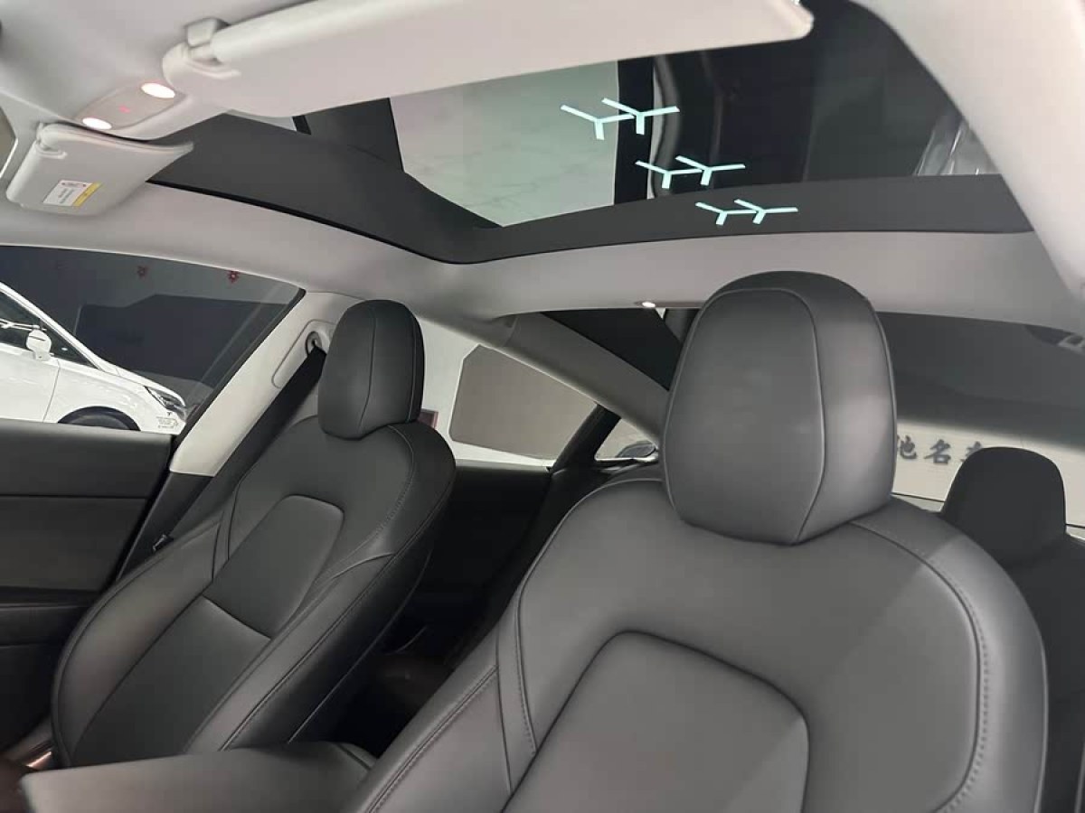 特斯拉 Model 3  2021款 改款 標(biāo)準(zhǔn)續(xù)航后驅(qū)升級(jí)版圖片