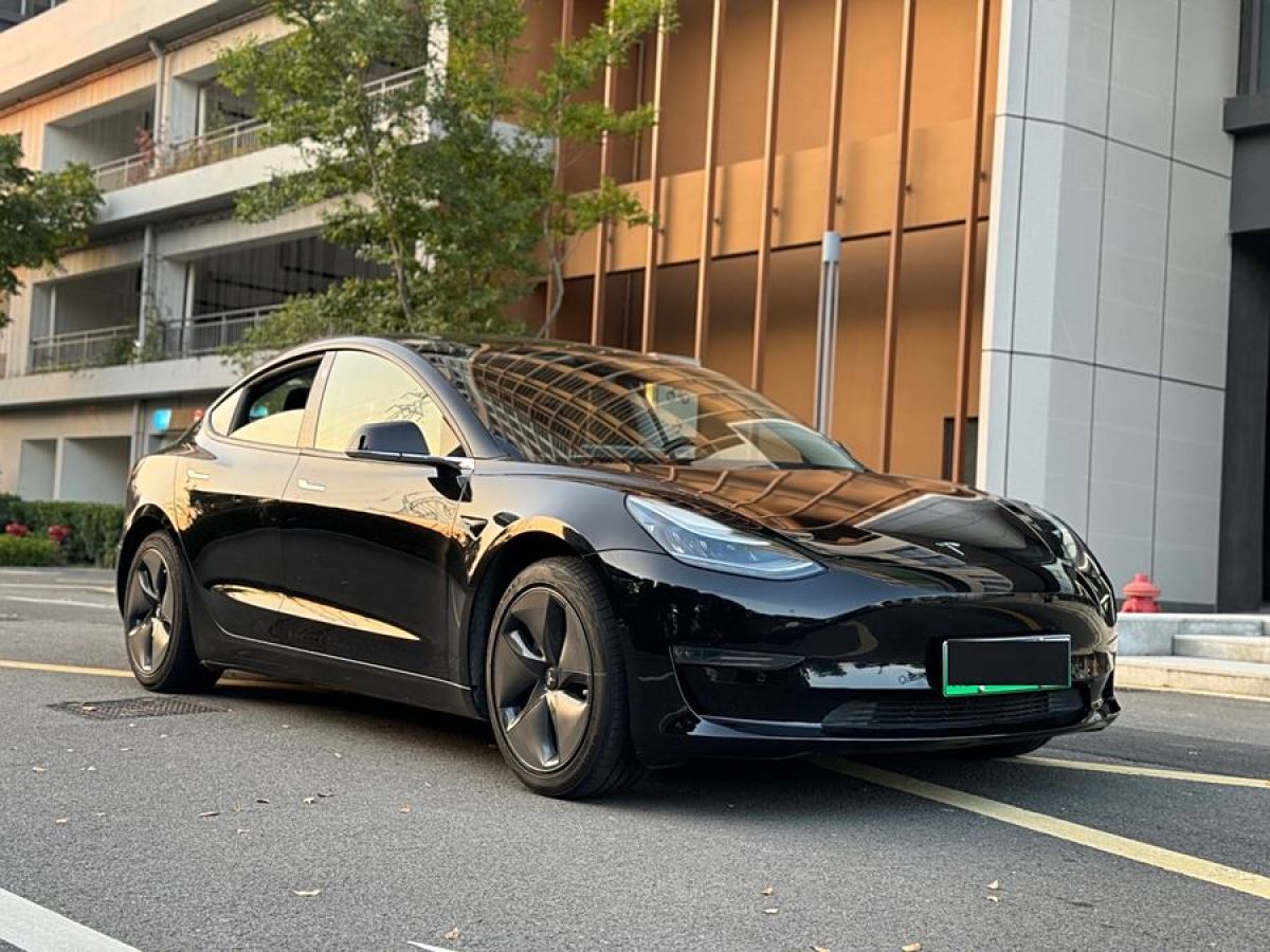 特斯拉 Model 3  2019款 長續(xù)航后驅(qū)版圖片