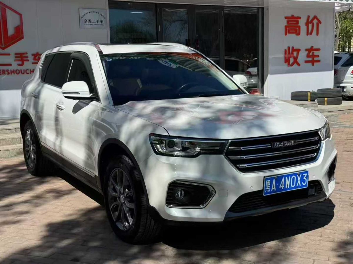 哈弗 H9  2020款 2.0T 汽油四驅(qū)尊貴型 7座圖片