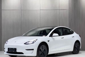 Model 3 特斯拉 改款 標(biāo)準(zhǔn)續(xù)航后驅(qū)升級版