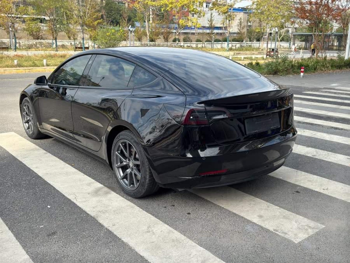 特斯拉 Model 3  2020款 改款 標準續(xù)航后驅(qū)升級版圖片