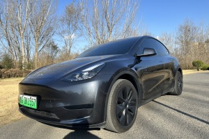 Model Y 特斯拉 后轮驱动版