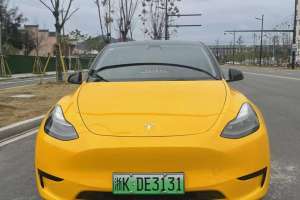 Model Y 特斯拉 改款 后輪驅(qū)動版