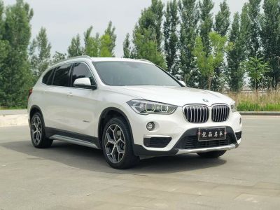 2017年1月 宝马 宝马X1新能源 xDrive25Le图片