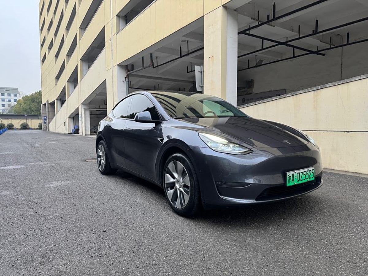 2021年3月特斯拉 Model Y  2021款 改款 長續(xù)航全輪驅(qū)動版