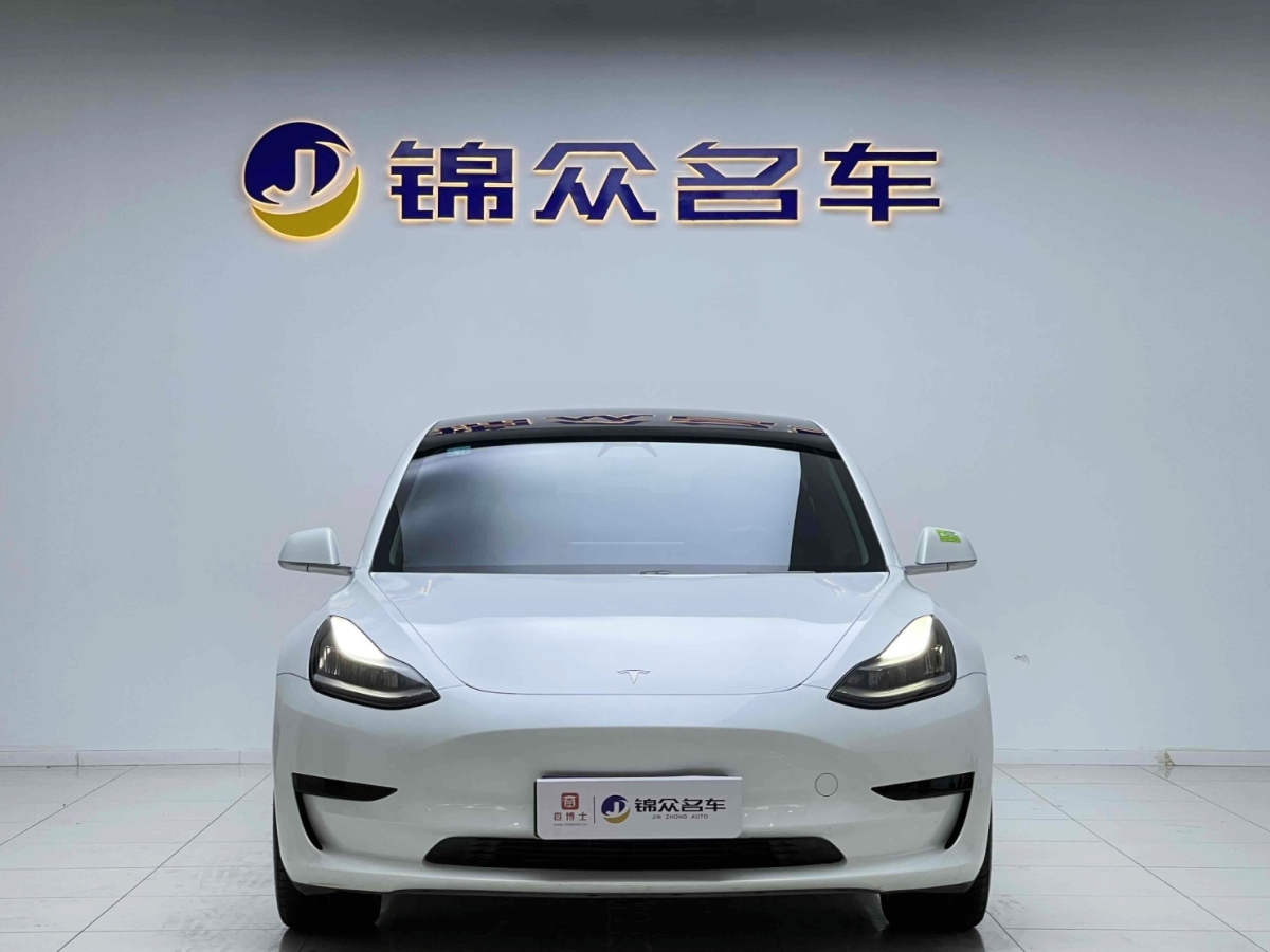 特斯拉 Model 3  2019款 標(biāo)準(zhǔn)續(xù)航后驅(qū)升級(jí)版圖片