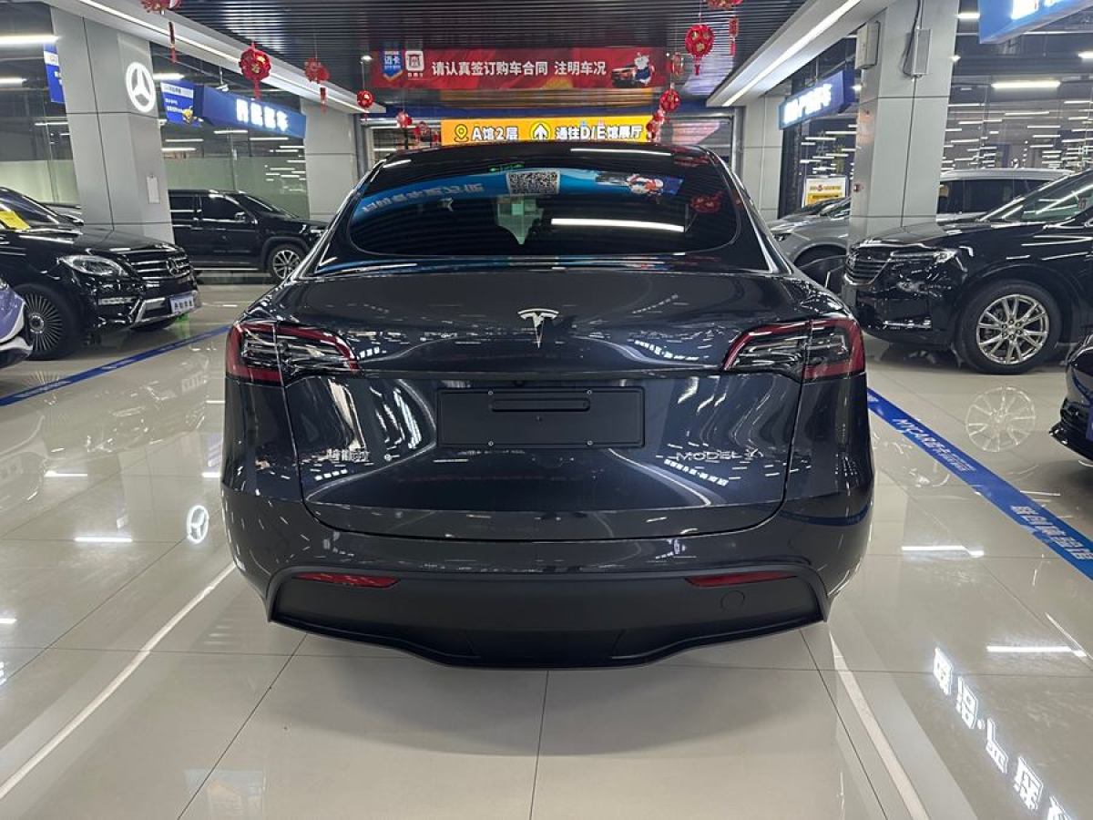 特斯拉 Model 3  2020款 改款 長續(xù)航后輪驅動版圖片