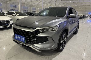 宋Pro新能源 比亚迪 荣耀版 DM-i 110KM卓越型