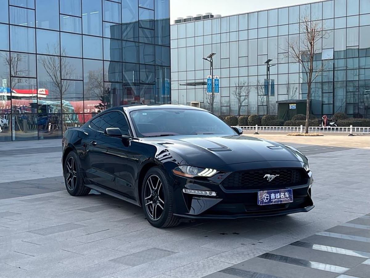 福特 Mustang  2019款 2.3L EcoBoost圖片