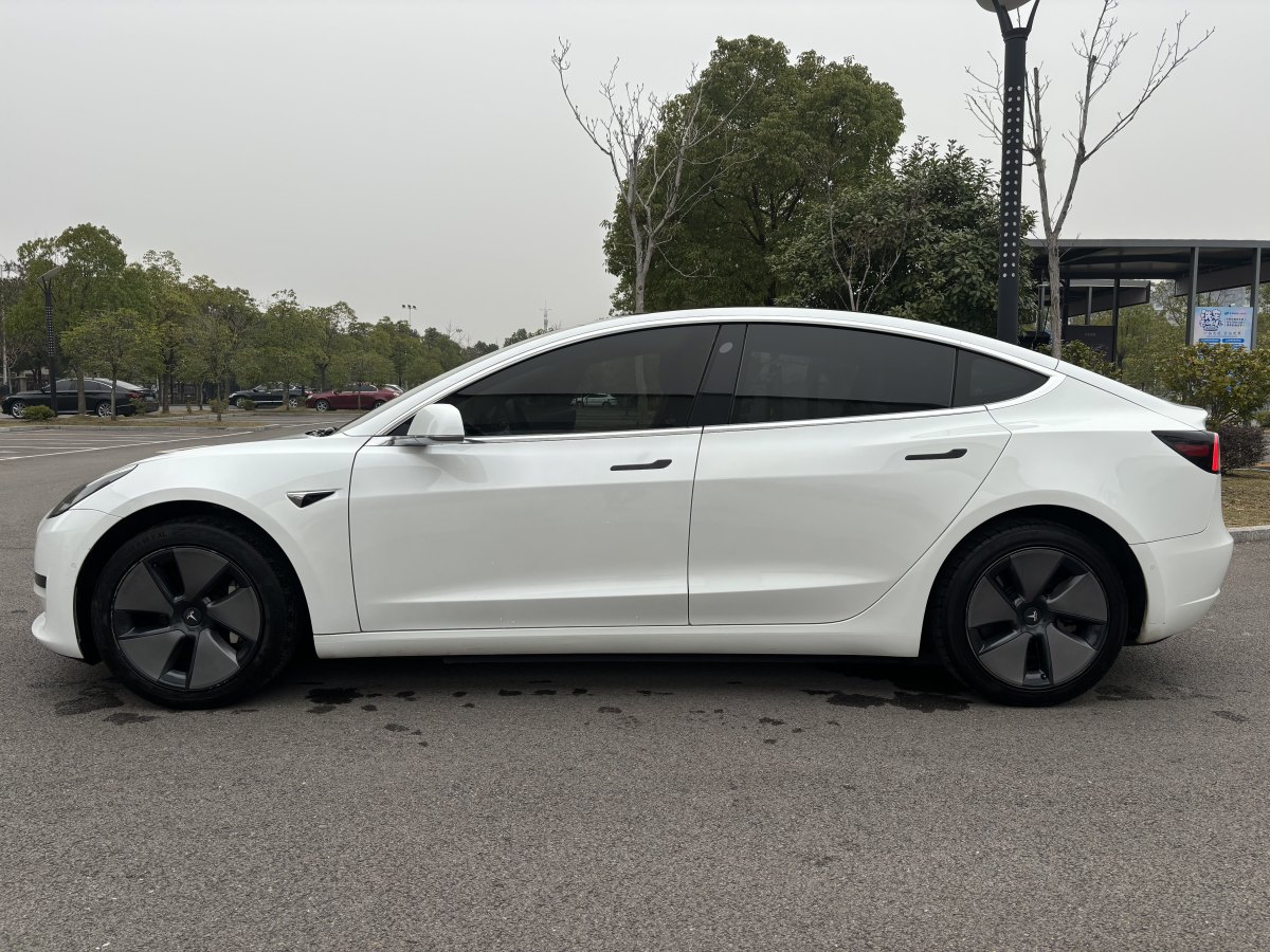 特斯拉 Model 3  2019款 標(biāo)準(zhǔn)續(xù)航后驅(qū)升級(jí)版圖片