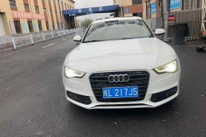 奥迪A5 奥迪 Cabriolet 40 TFSI 时尚型