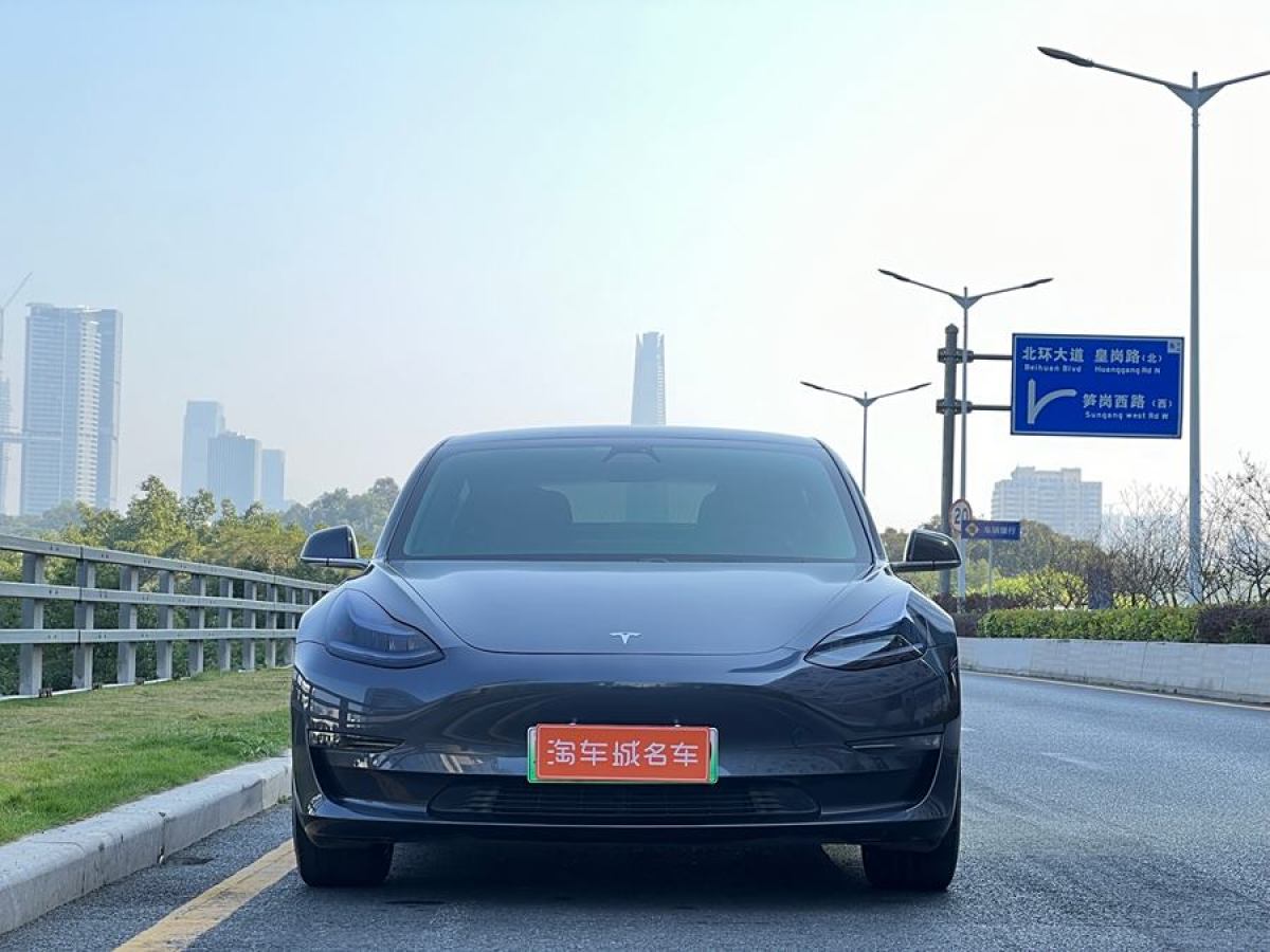 特斯拉 Model 3  2020款 改款 長續(xù)航后輪驅(qū)動版圖片