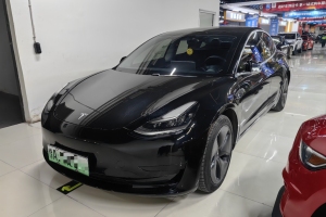 Model 3 特斯拉 標(biāo)準(zhǔn)續(xù)航后驅(qū)升級版