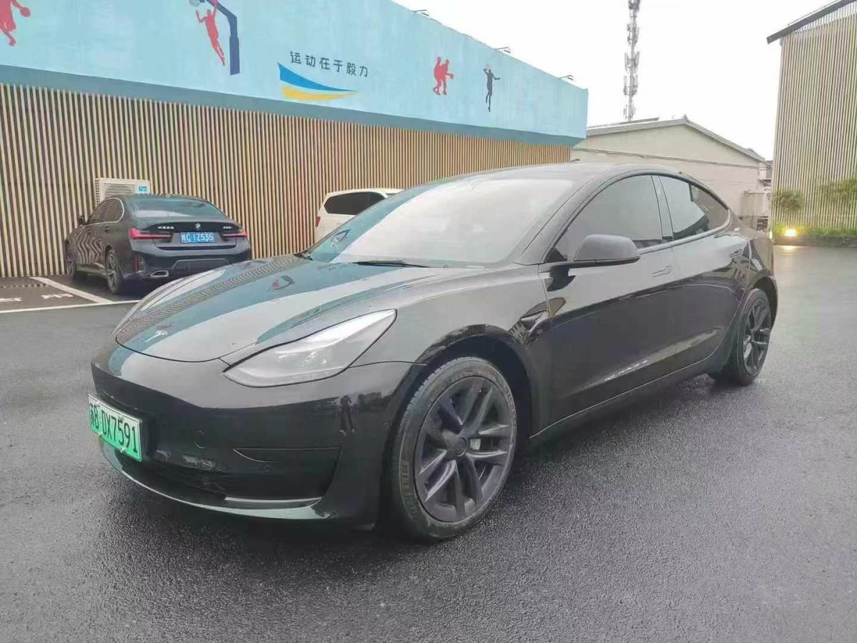 特斯拉 Model 3  2022款 Performance高性能全輪驅(qū)動版圖片