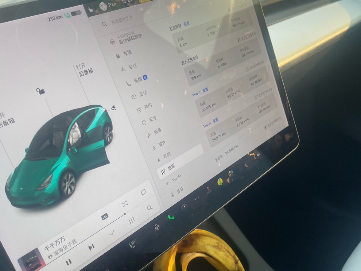 特斯拉 Model Y  2021款 標(biāo)準(zhǔn)續(xù)航后驅(qū)版圖片