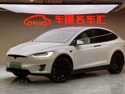 2020年9月 特斯拉 Model X Performance 高性能版圖片