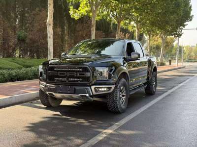 2019年4月 福特 F-150(進(jìn)口) 3.5T 猛禽性能勁化版圖片