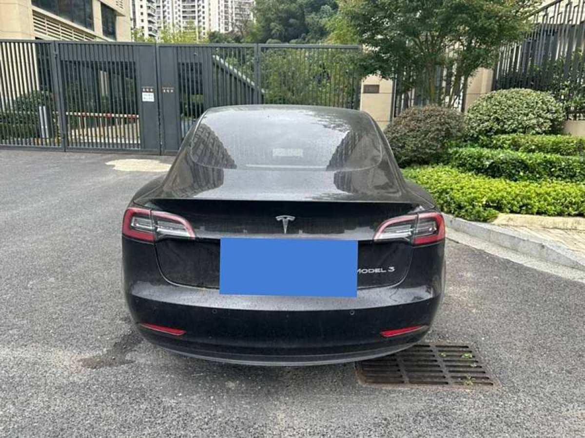 特斯拉 Model 3  2020款 改款 標(biāo)準(zhǔn)續(xù)航后驅(qū)升級(jí)版圖片