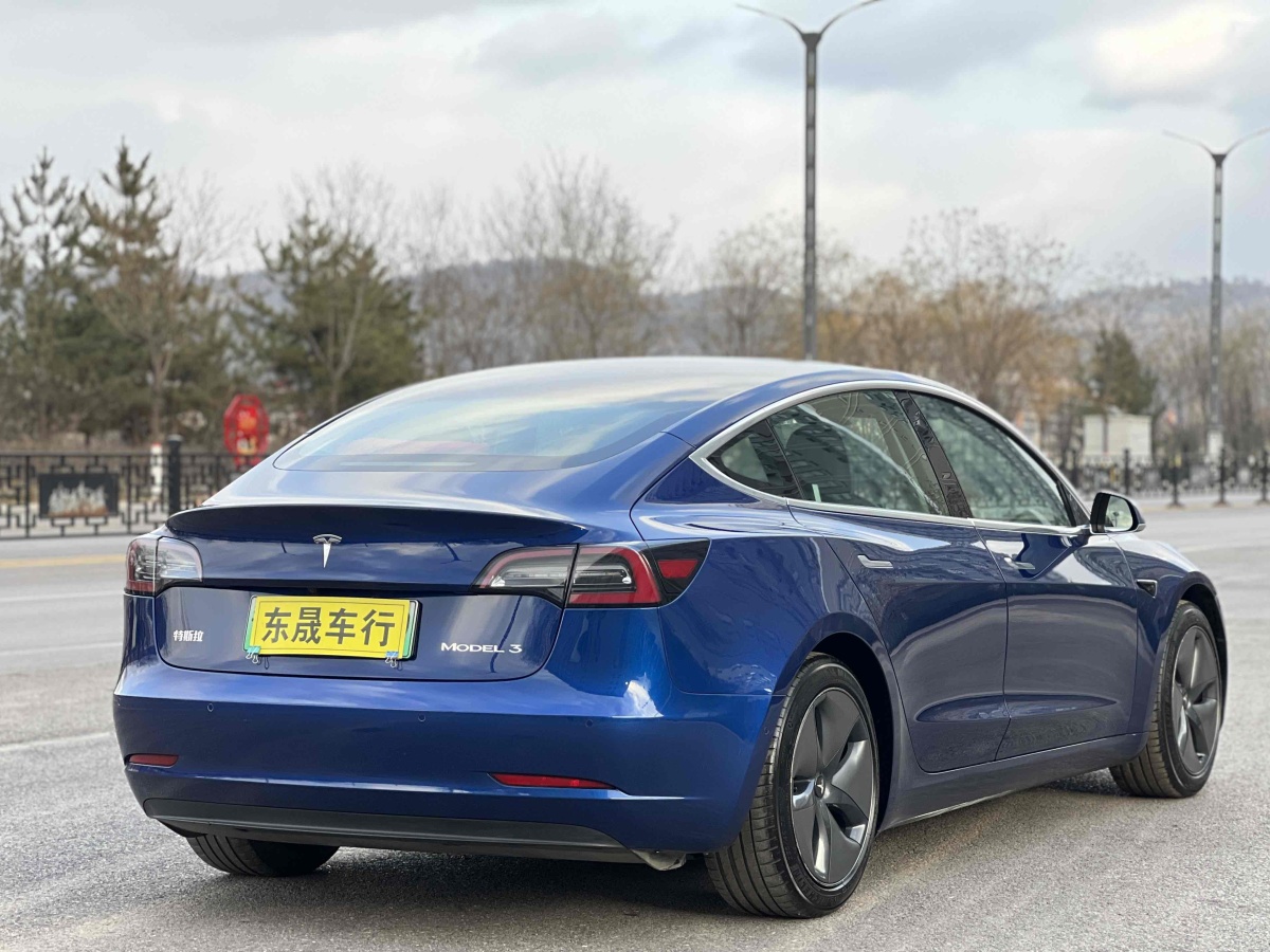 特斯拉 Model 3  2019款 標(biāo)準(zhǔn)續(xù)航后驅(qū)升級版圖片