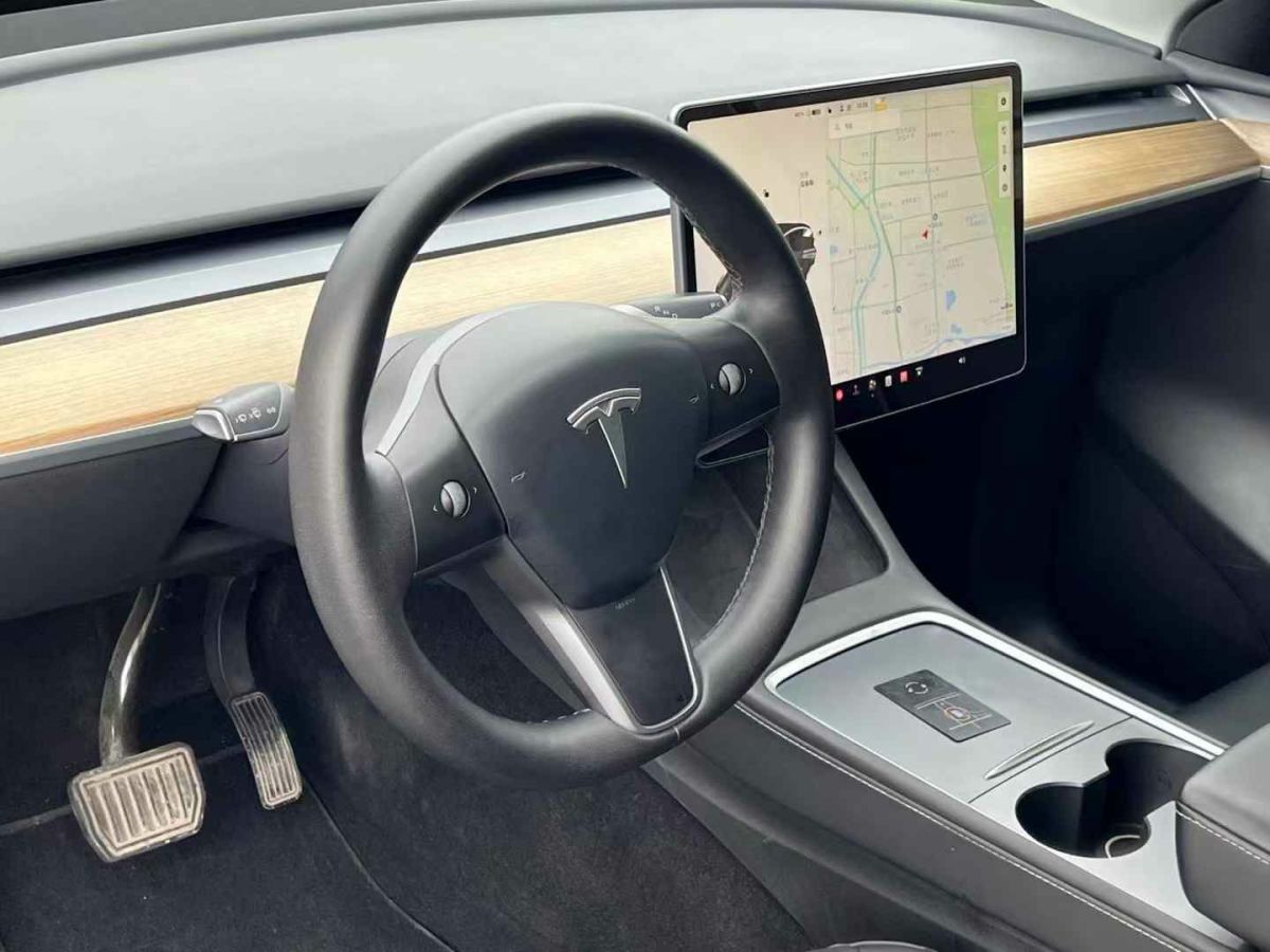 2022年1月特斯拉 Model 3  2022款 Performance高性能全輪驅動版