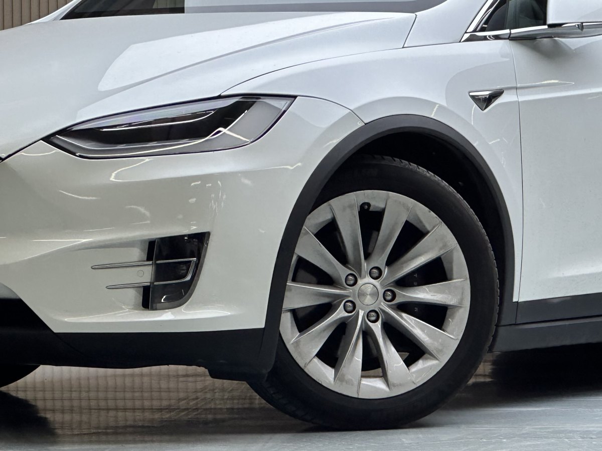 特斯拉 Model X  2019款 長(zhǎng)續(xù)航版圖片