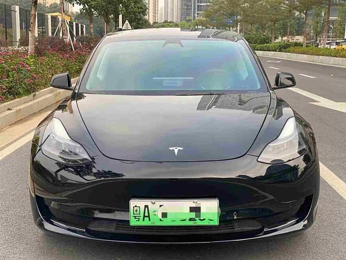 特斯拉 Model 3  2021款 標(biāo)準(zhǔn)續(xù)航后驅(qū)升級(jí)版 3D6圖片