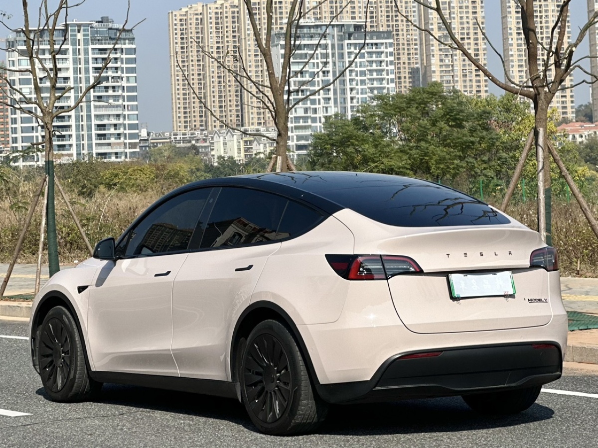 特斯拉 Model 3  2021款 改款 標準續(xù)航后驅(qū)升級版圖片