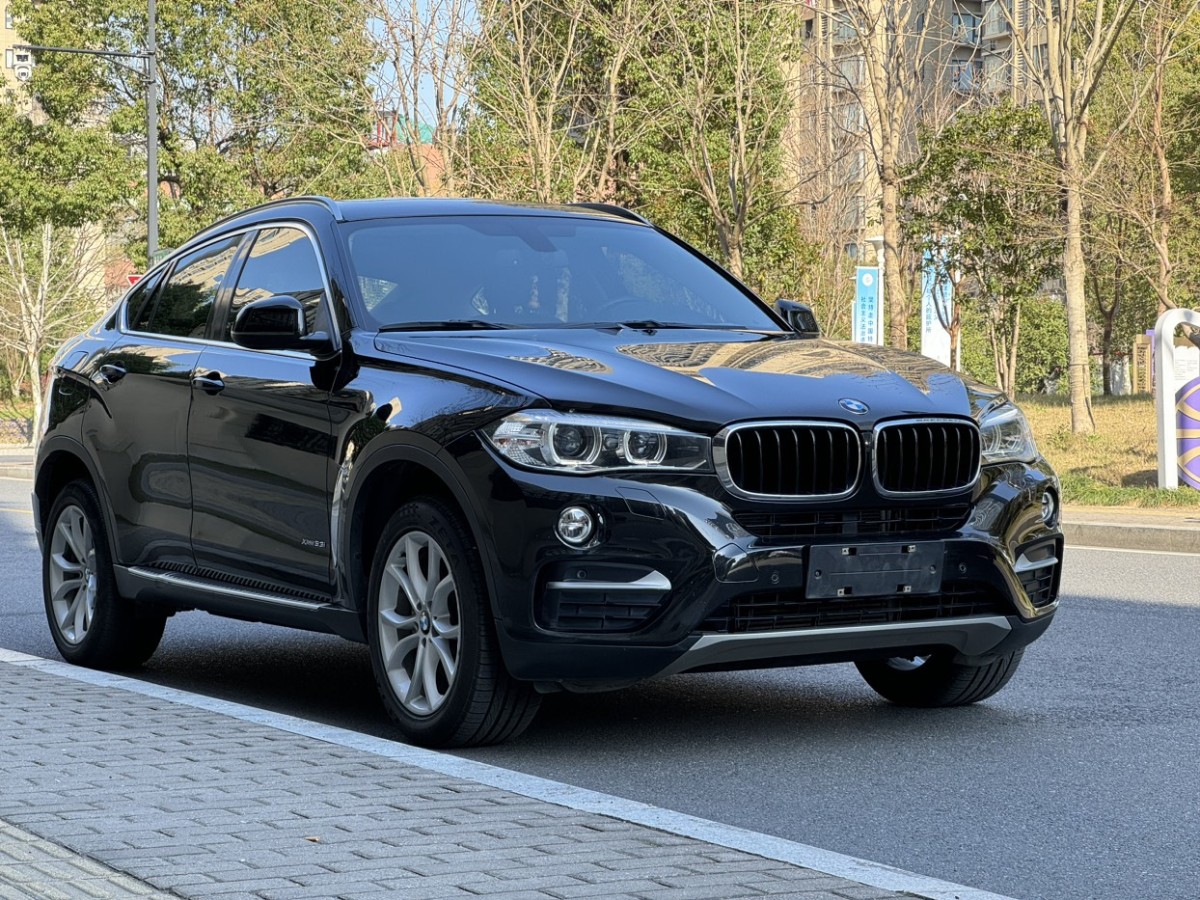 寶馬 寶馬X6  2015款 xDrive35i 領(lǐng)先型圖片