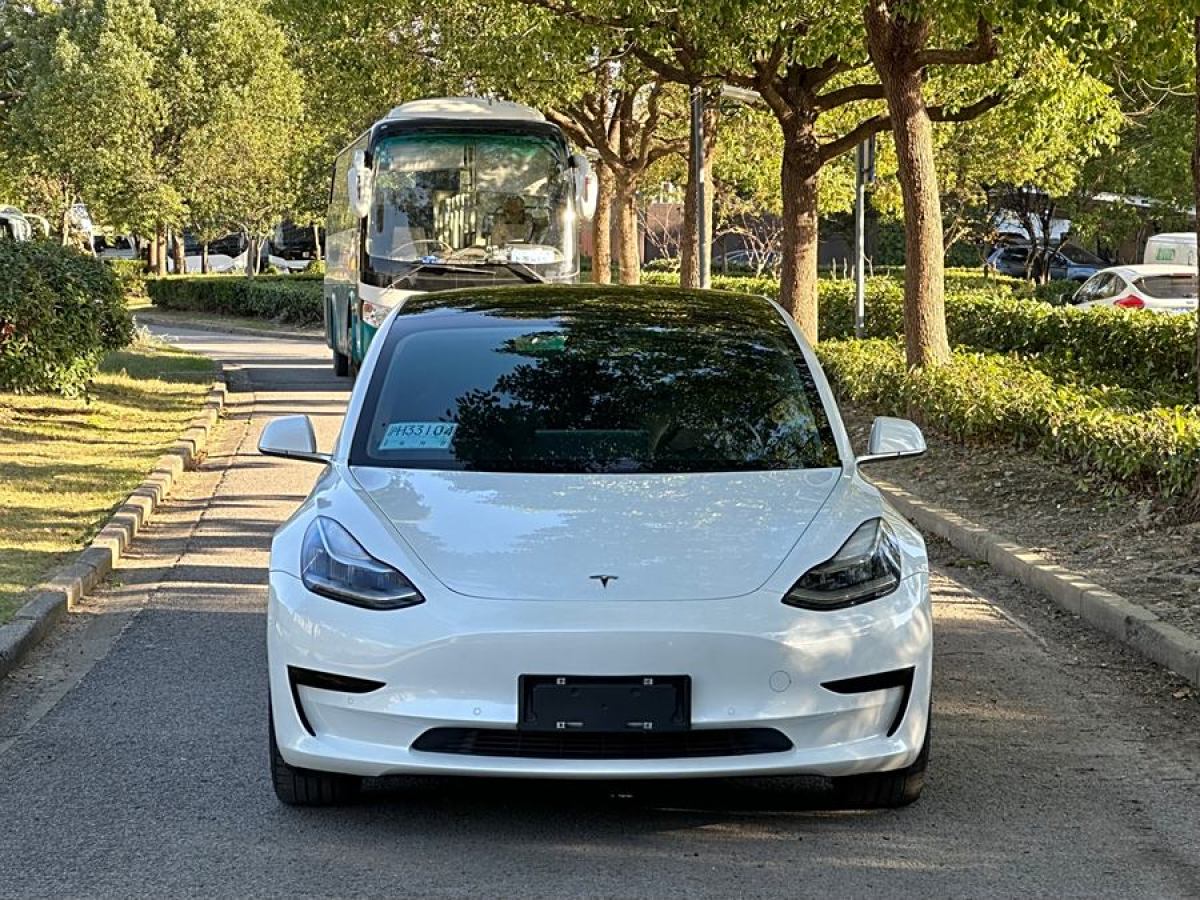 特斯拉 Model 3  2020款 改款 標準續(xù)航后驅升級版圖片