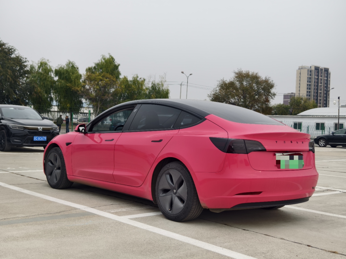 特斯拉 Model 3  2019款 標(biāo)準(zhǔn)續(xù)航后驅(qū)升級(jí)版圖片