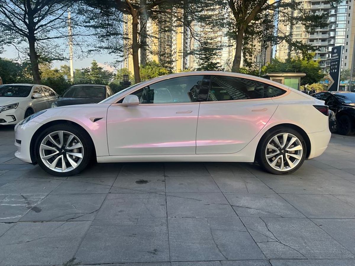 特斯拉 Model 3  2021款 改款 標(biāo)準(zhǔn)續(xù)航后驅(qū)升級版圖片