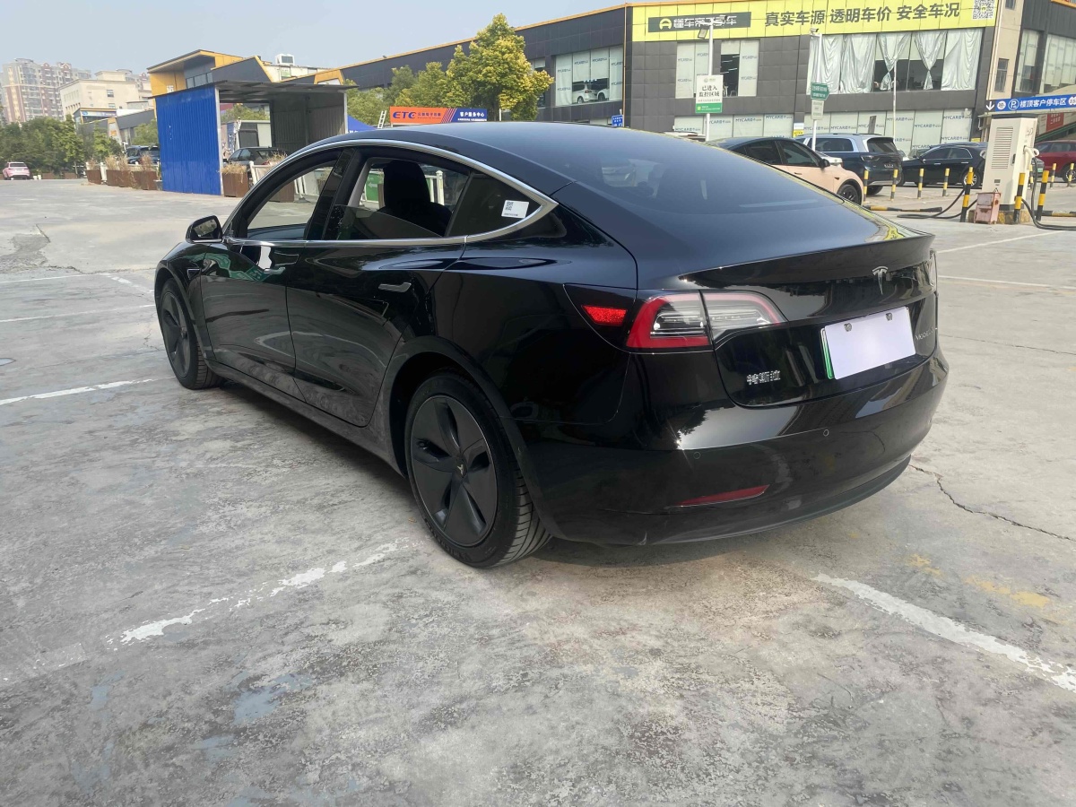 特斯拉 Model 3  2020款 改款 標(biāo)準(zhǔn)續(xù)航后驅(qū)升級(jí)版圖片