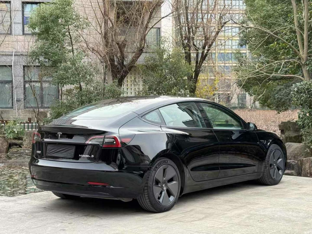 特斯拉 Model 3  2022款 Performance高性能全輪驅動版圖片