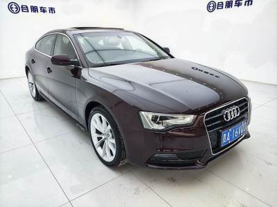 2014年4月 奧迪 奧迪A5(進(jìn)口) Sportback 45 TFSI風(fēng)尚版圖片