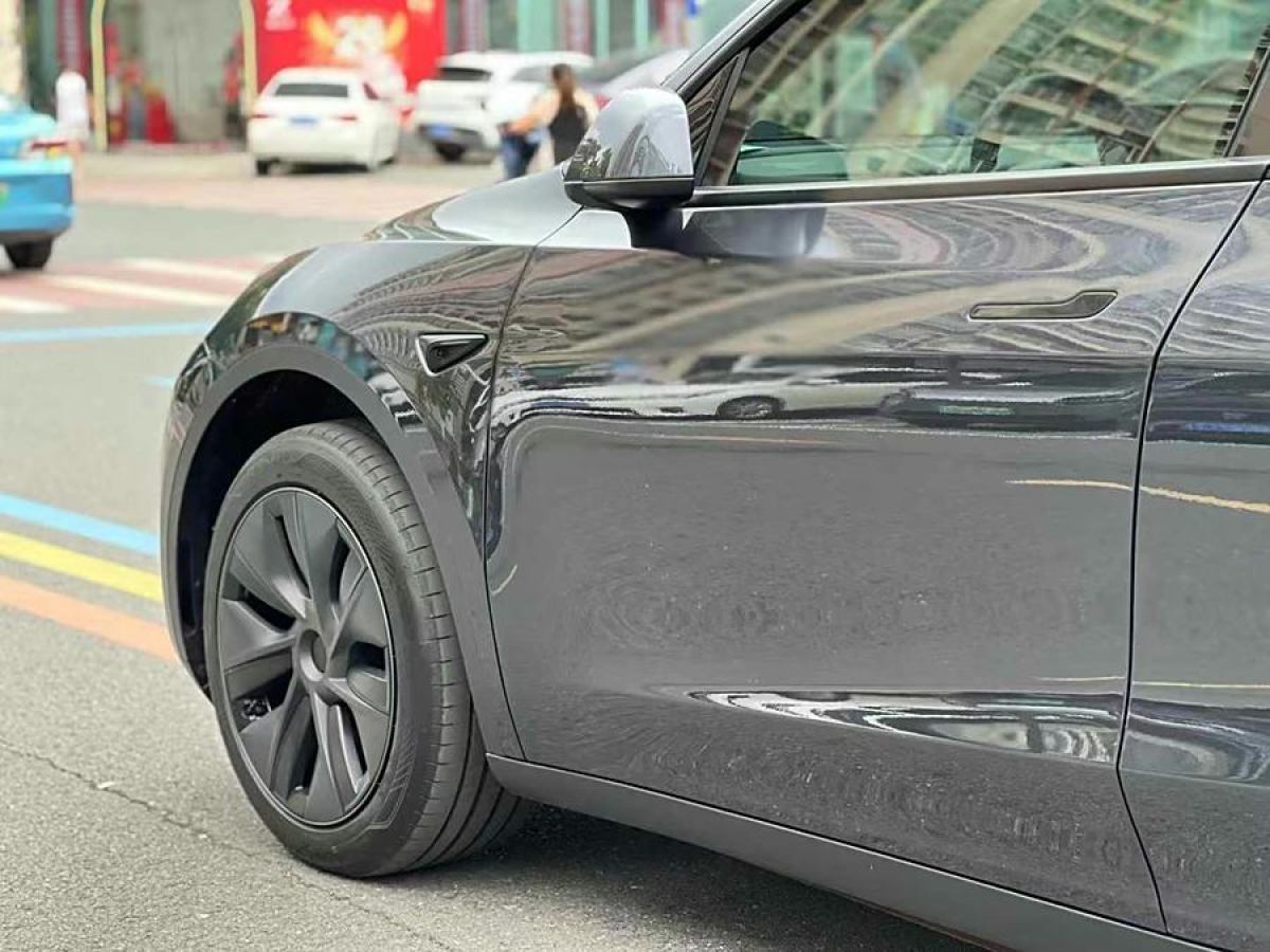 特斯拉 Model Y  2020款 改款 長(zhǎng)續(xù)航后輪驅(qū)動(dòng)版圖片